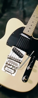 T-Style Stetsbar on Fender Telecaster